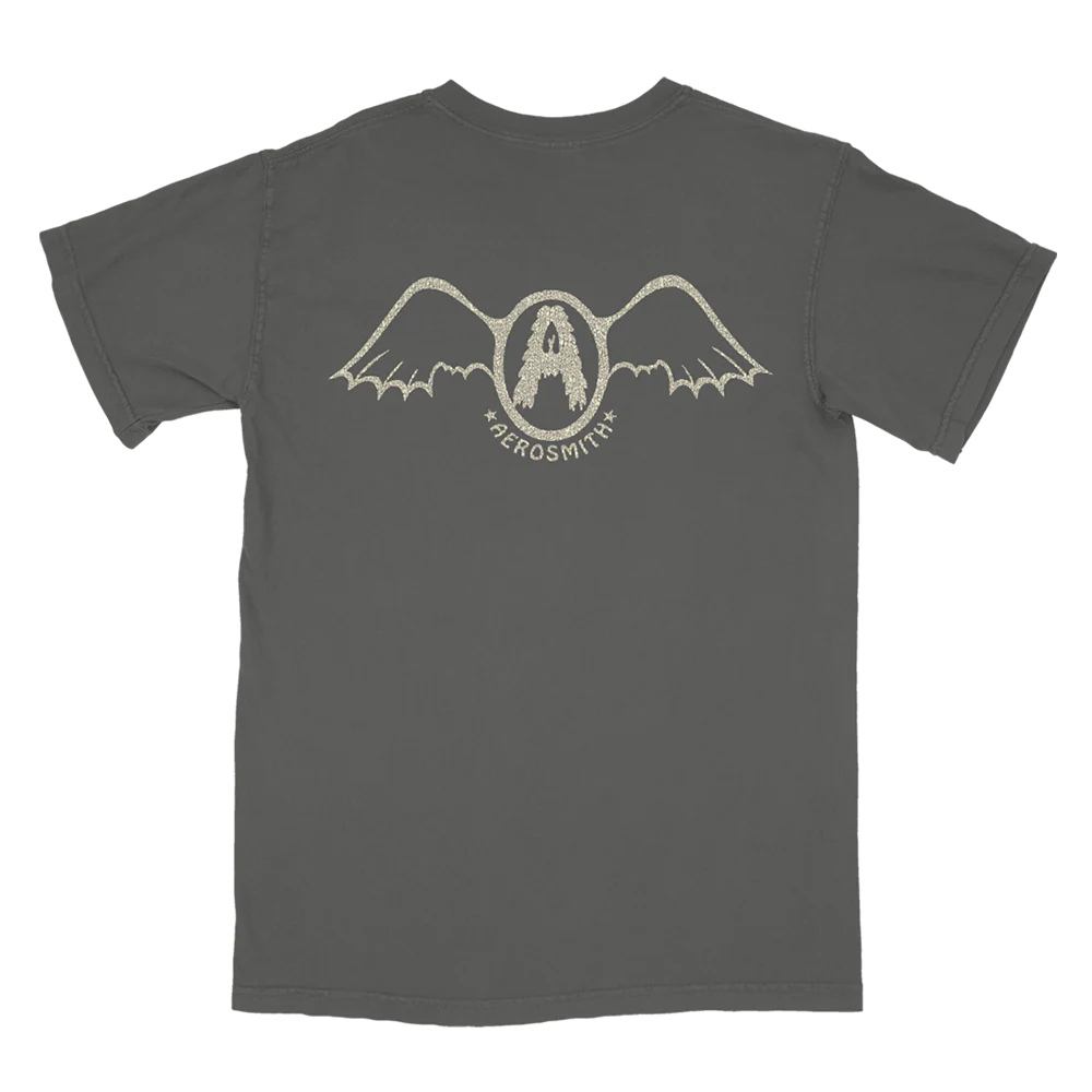 Aerosmith - Seasons Of Wither Pocket T-Shirt